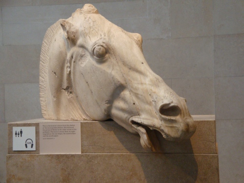 Head of a horse of Selene from the east pediment of the Parthenon, Acropolis, Athens, 438-432 BC, British Museum, London (photo © Foteini Vlachou)